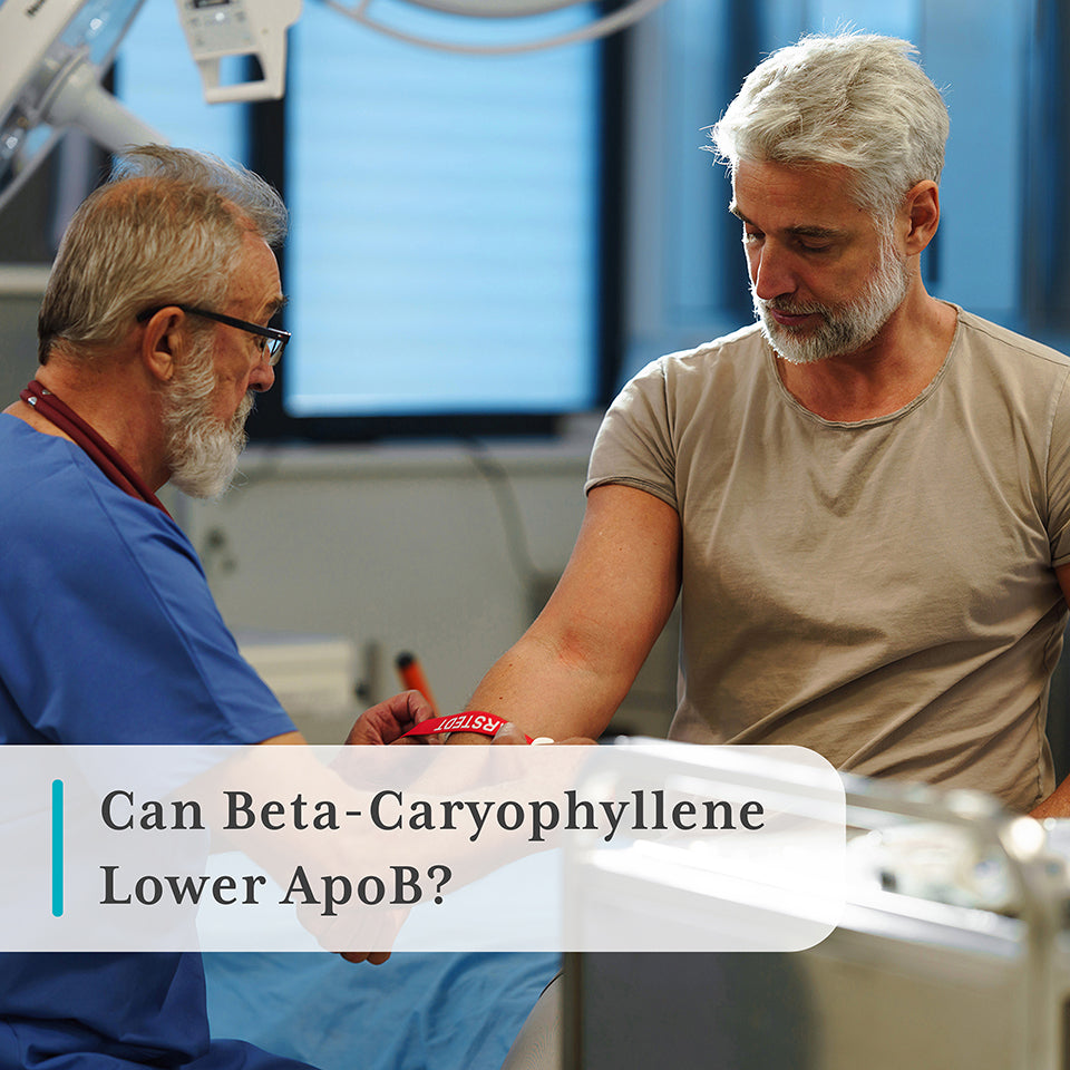 Man getting blood draw by male nurse: Can beta-caryophyllene (BCP) CB2 oil lower ApoB?