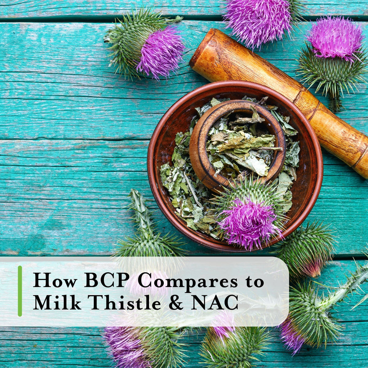A rustic flat-lay of dried milk thistle leaves in a terracotta bowl with a wooden pestle on a distressed teal wooden background, with a text overlay reading 'How BCP Compares to Milk Thistle & NAC'.