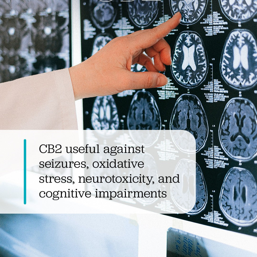 CB2 oil beta-caryophyllene for seizures, neurotoxicity, and cognitive impairments