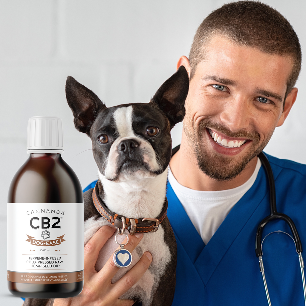 Veterinarians recommend Dog-Ease CB2 oil
