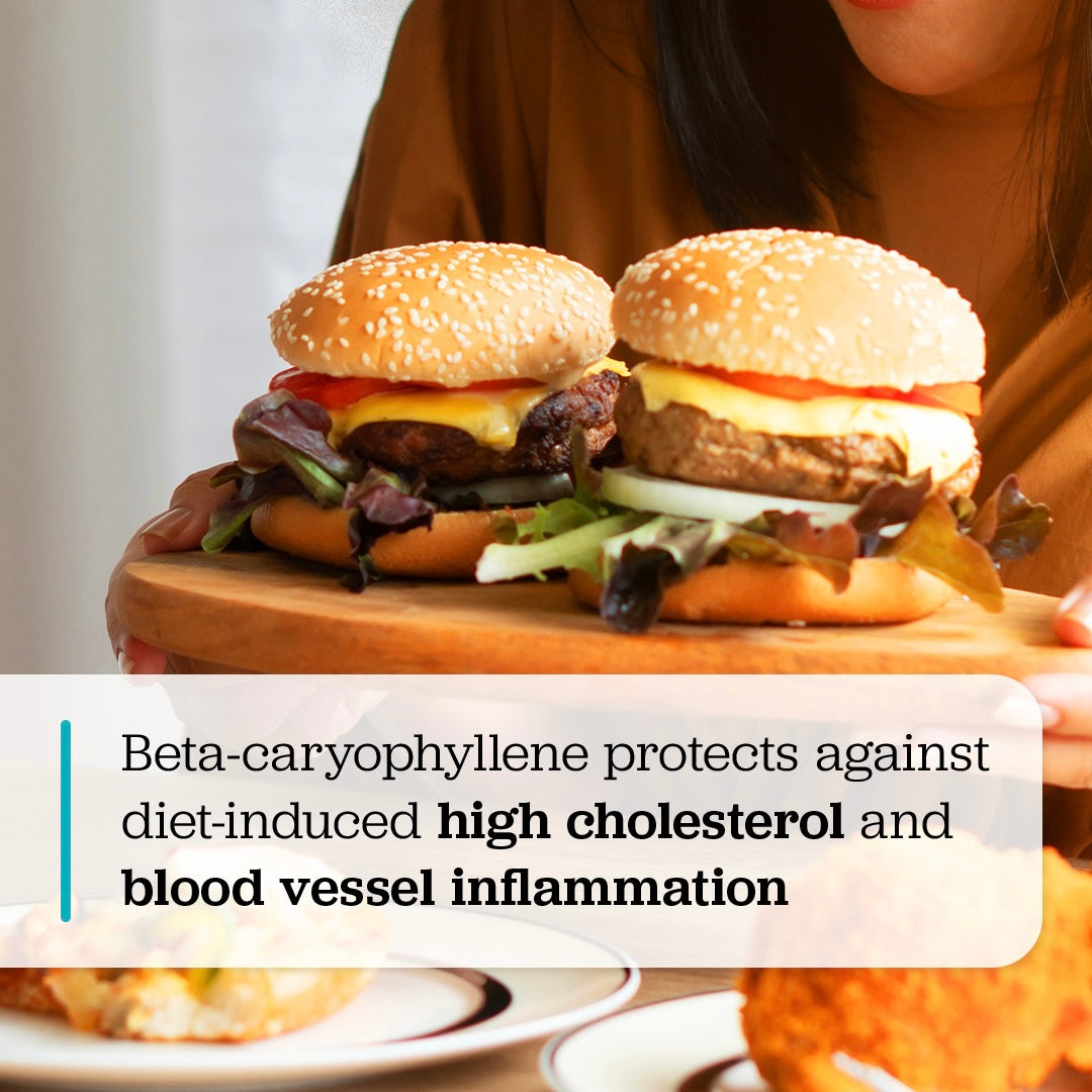 Beta-caryophyllene for diet-induced cholesterol and vascular inflammation