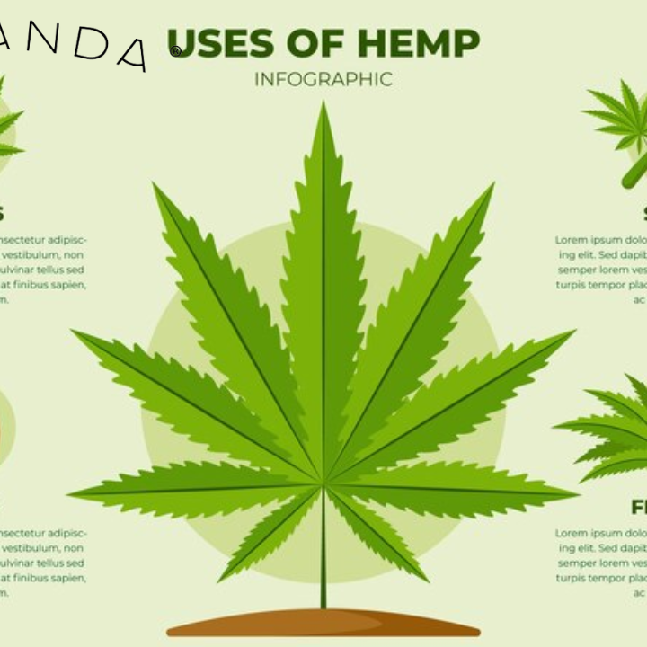 what is hemp