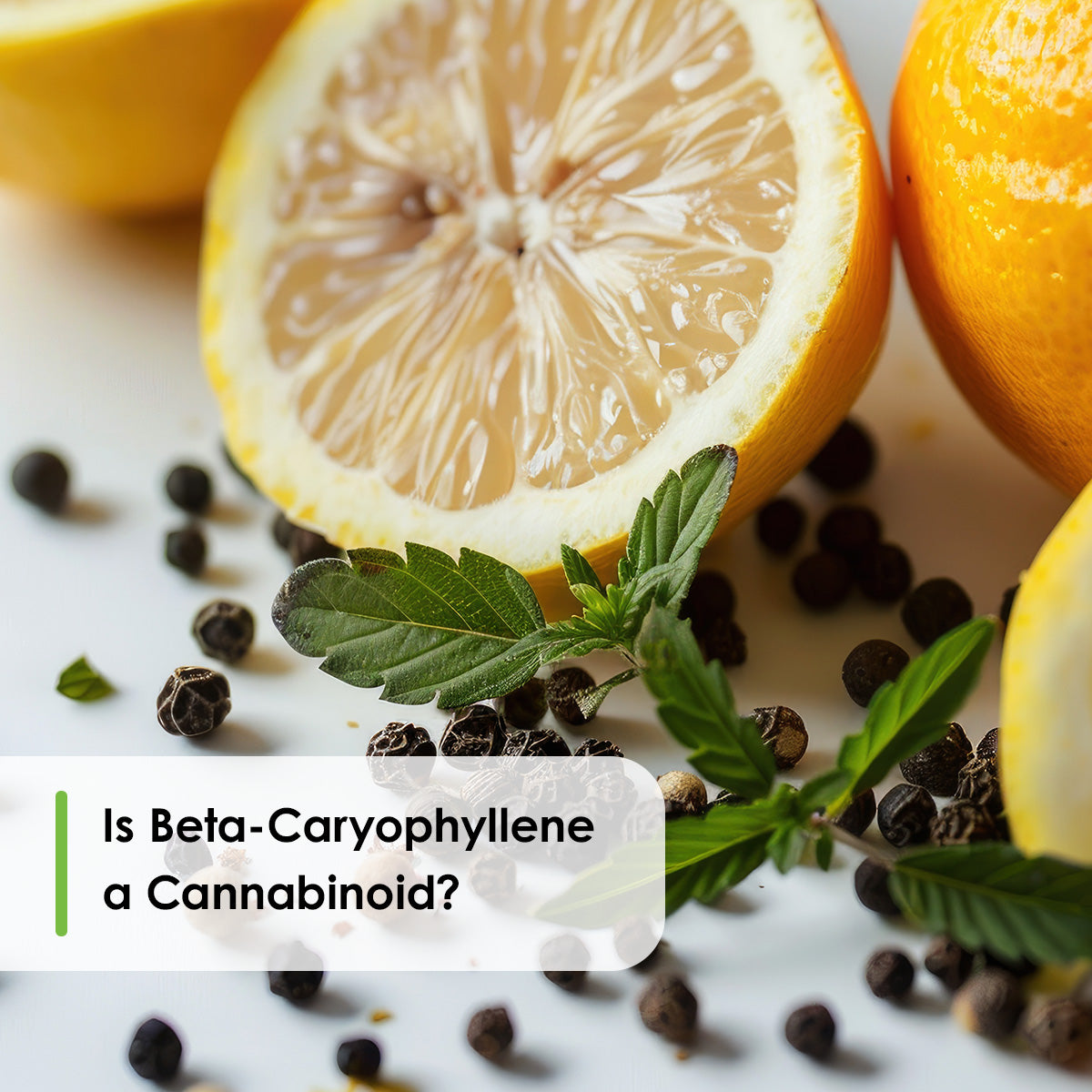 is beta-caryophyllene a cannabinoid: orange, black peppercorms, young cannabis leaves