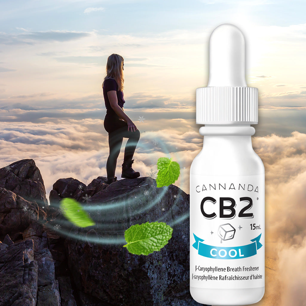 New CB2 oil from Cannanda: CB2 Cool