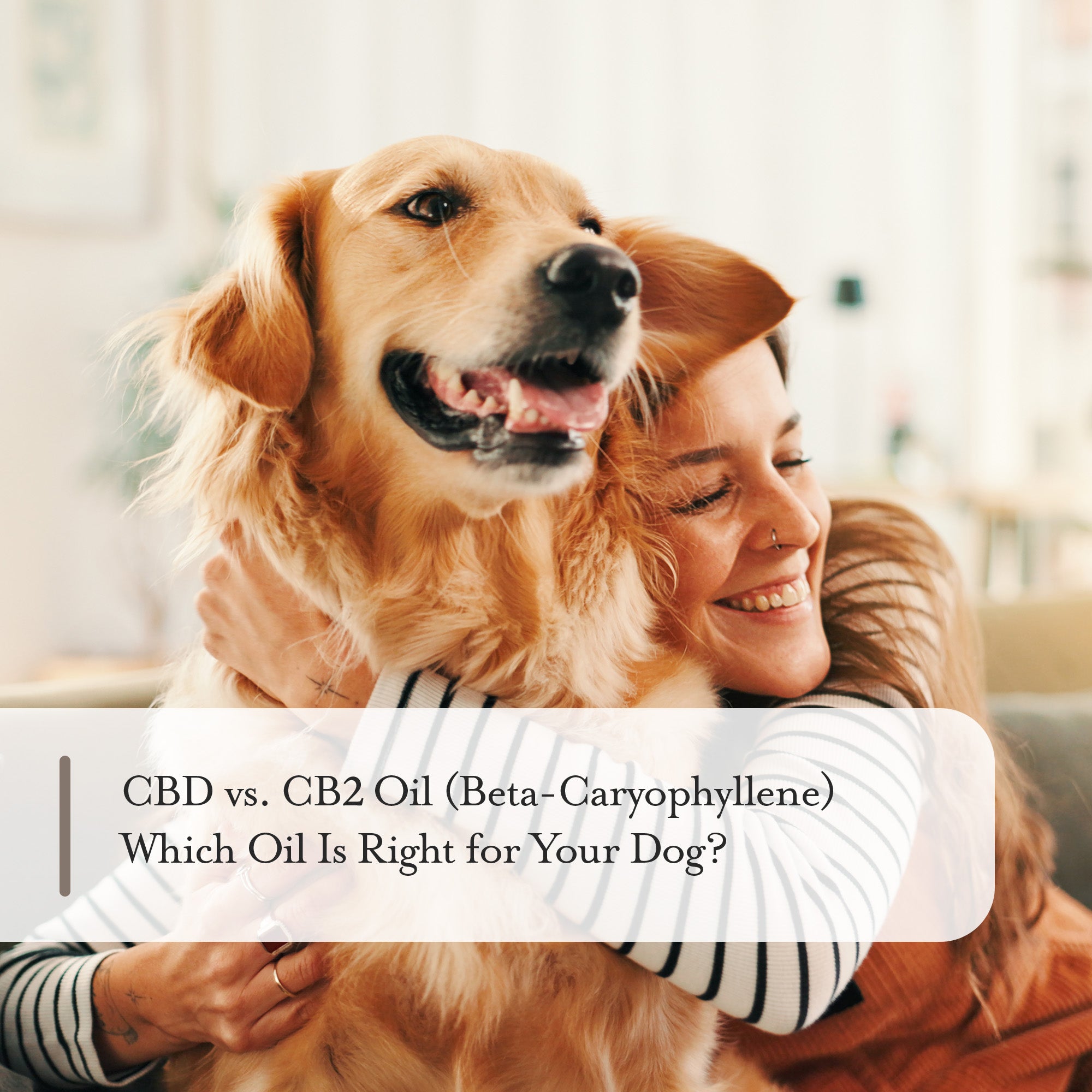 Young adult woman smiling while hugging her golden retriever, with title: CBD vs. CB2 Oil for Dogs: Understanding the Differences and Benefits