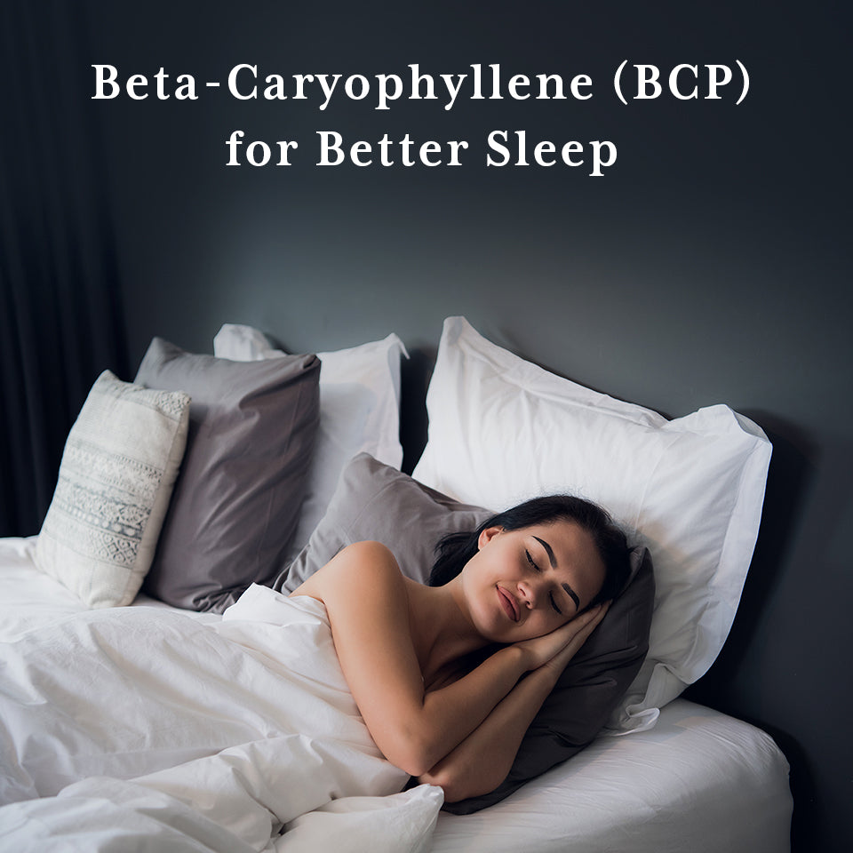 Beta-caryophyllene (BCP) for sleep - CB2 oil