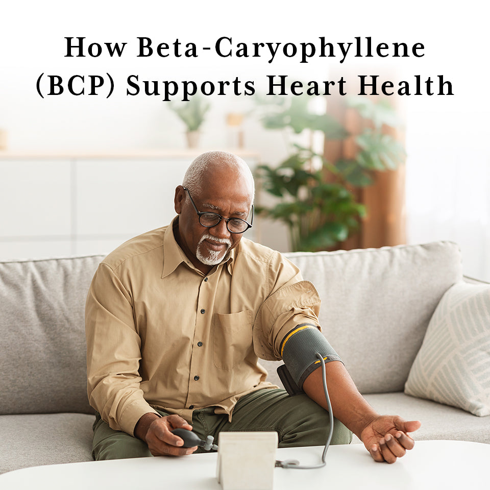 Beta-caryophyllene (BCP) for heart health and cardiovascular diseases