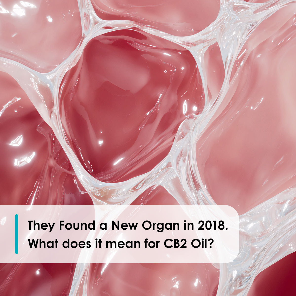 Close-up of pink and white tissue-like material with text overlay about CB2 oil for a new organ discovery.