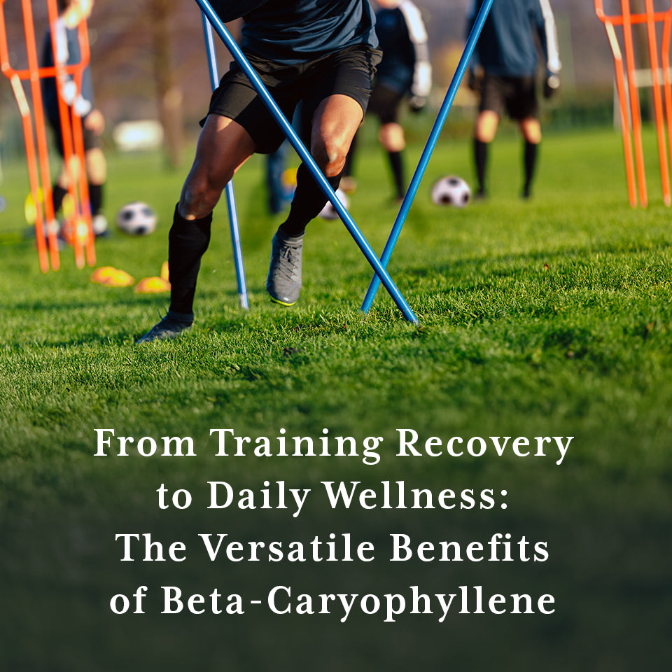 Beta-caryophyllene for training recovery to daily wellness