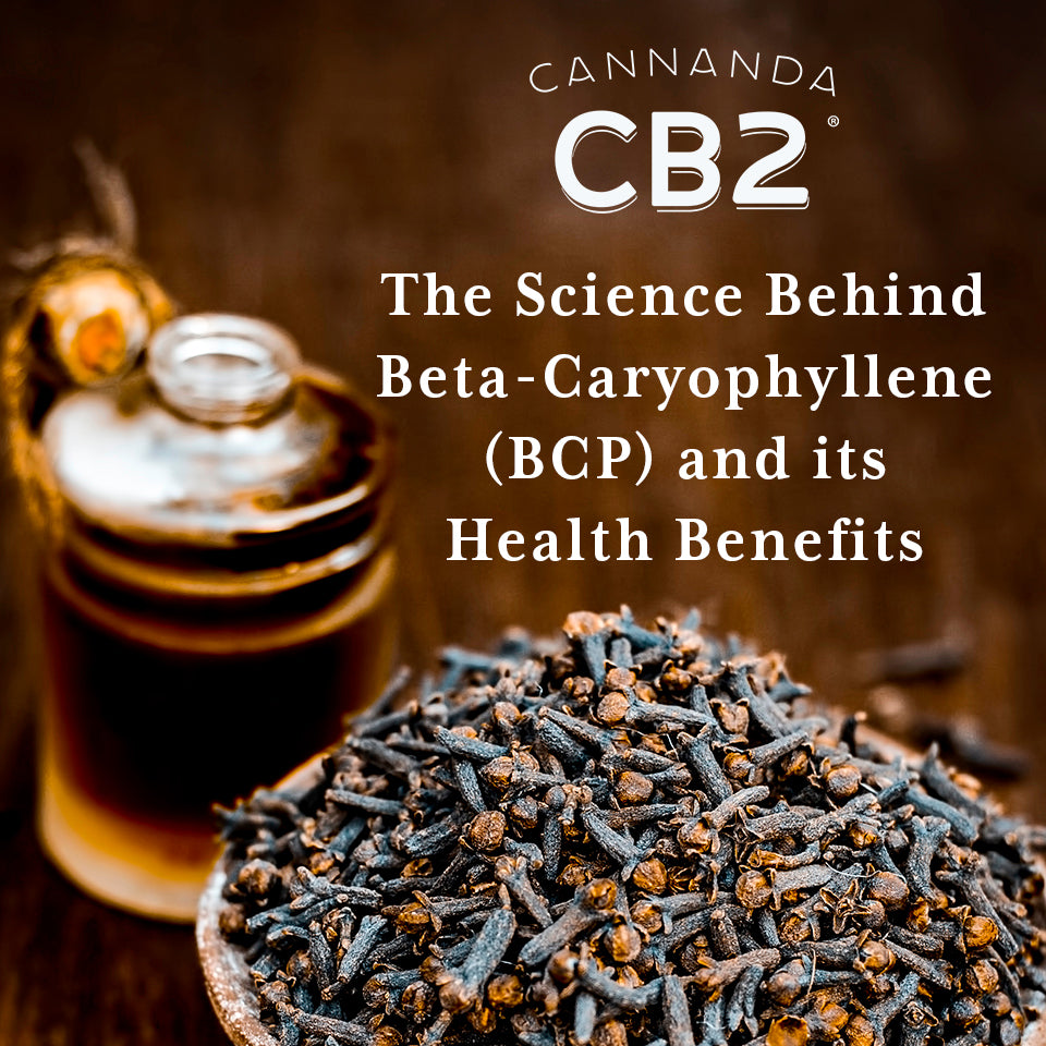 The science of beta-caryophyllene