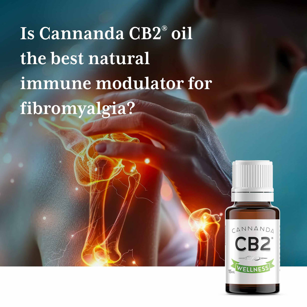 Cannanda CB2 oil as the best natural immune modulator for fibromyalgia and autoimmune disorders