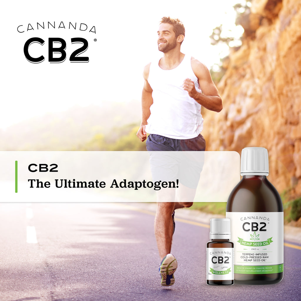 Cannanda CB2 oil is the ultimate adaptogen over ashwagandha, medicinal mushrooms like lion's mane and reishi, rhodiola, maca, ginseng, and more.