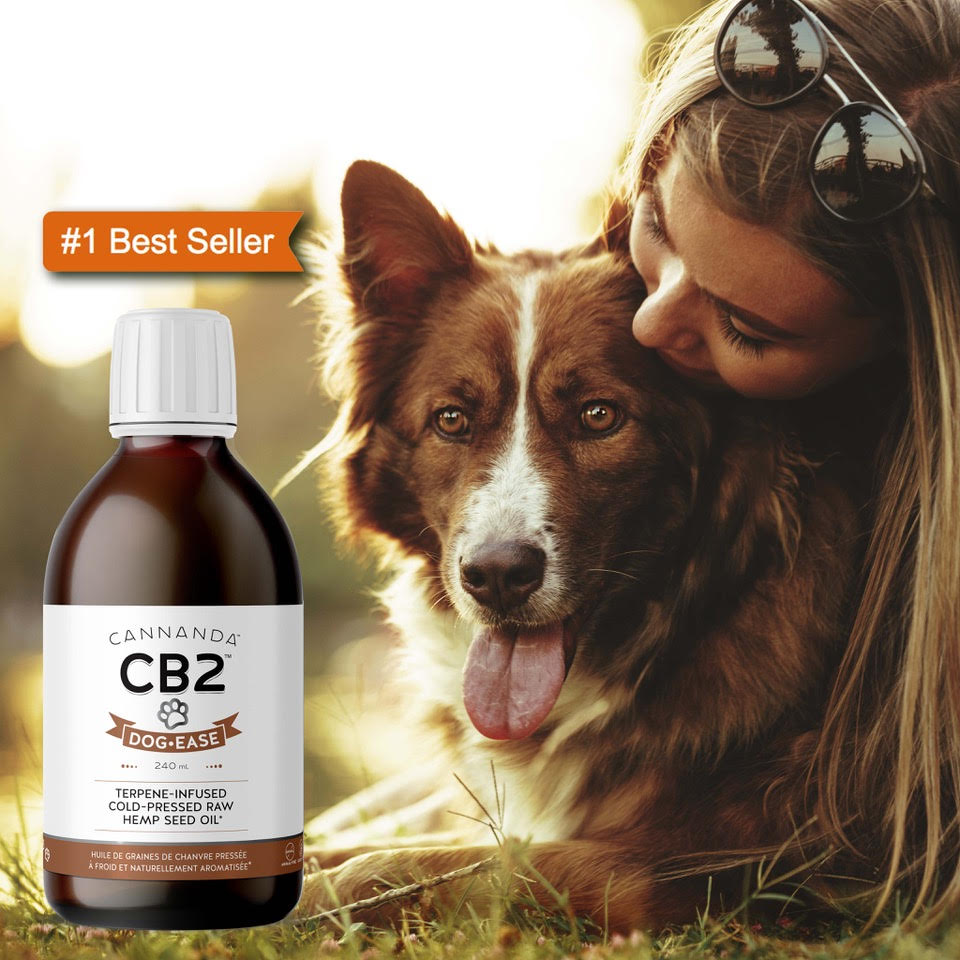 Cannanda CB2 hemp oil for dogs offers safe and effective relief for canine anxiety and pain