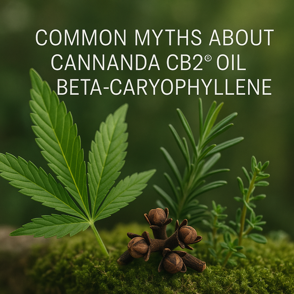 Common myths about Cannanda CB2 oil beta-caryophyllene
