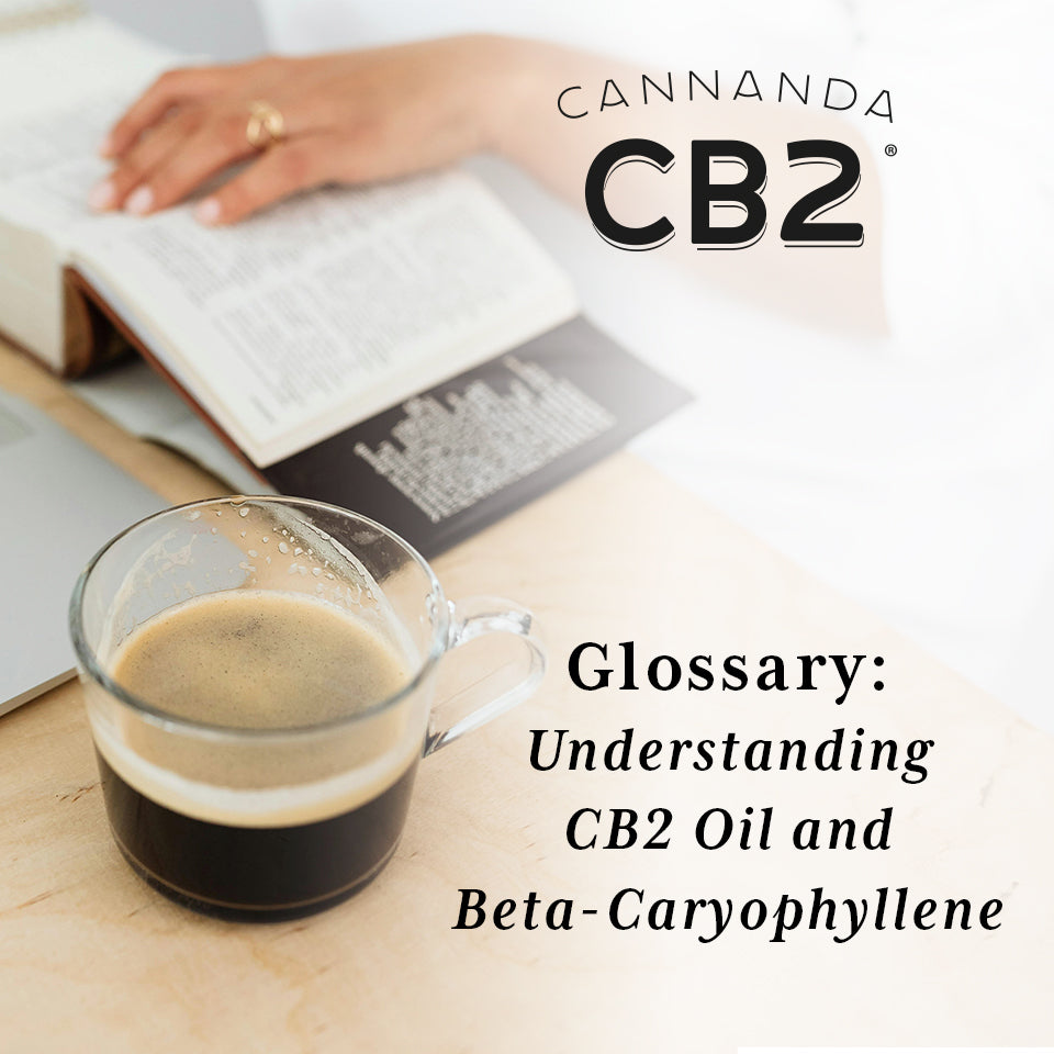 Glossary for CB2 oil and beta-caryophyllene supplements