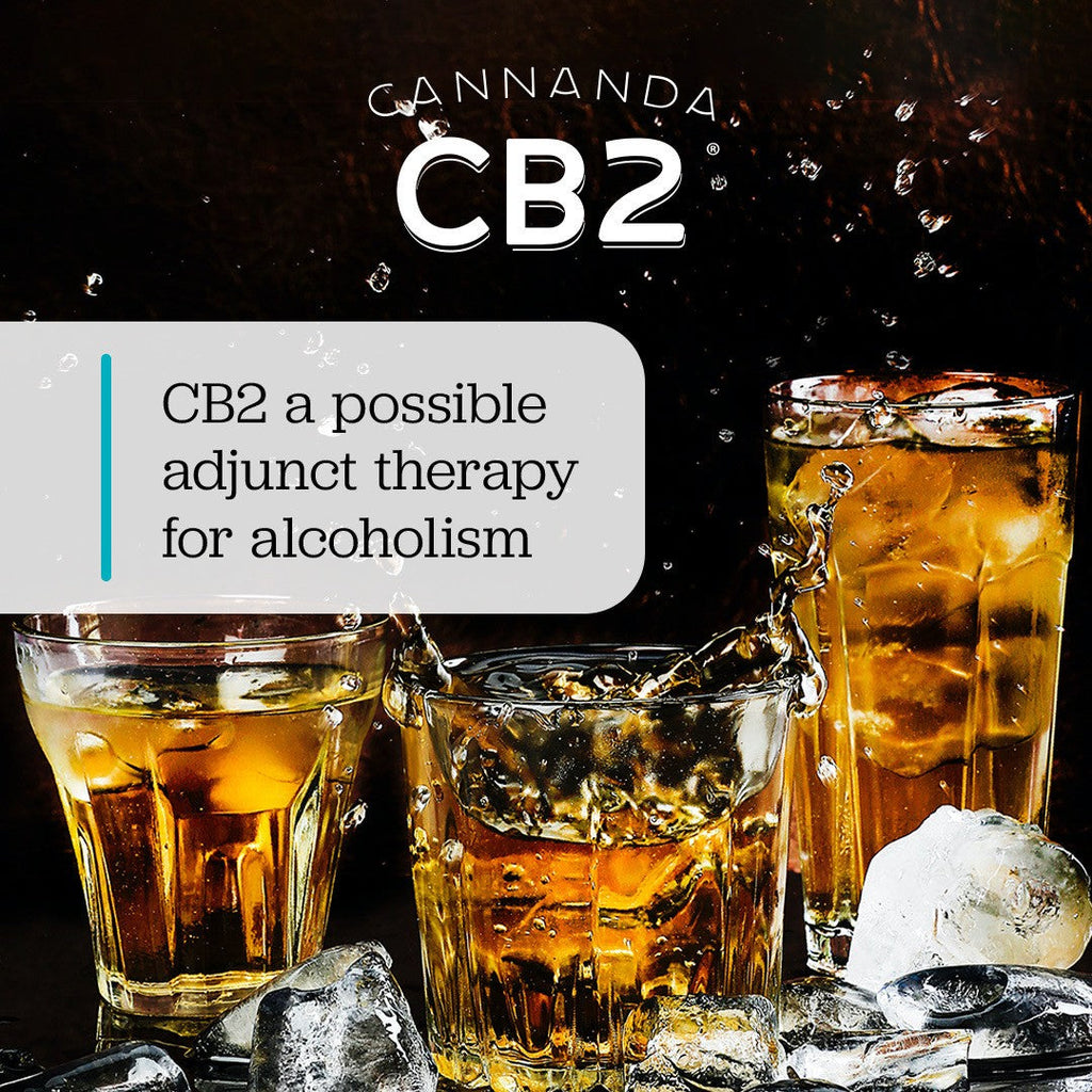 CB2 oil for alcoholism