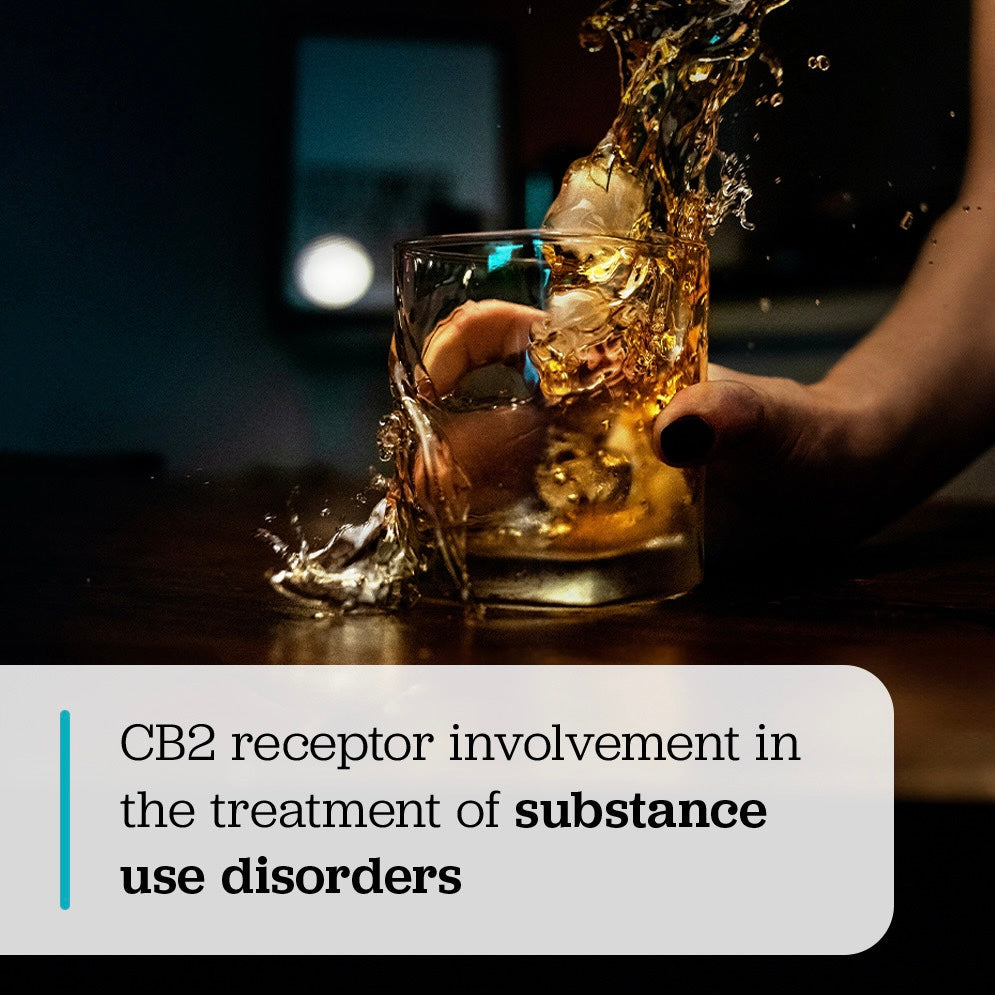 Cannanda CB2 oil beta-caryophyllene is successfully being used to overcome alcohol addiction