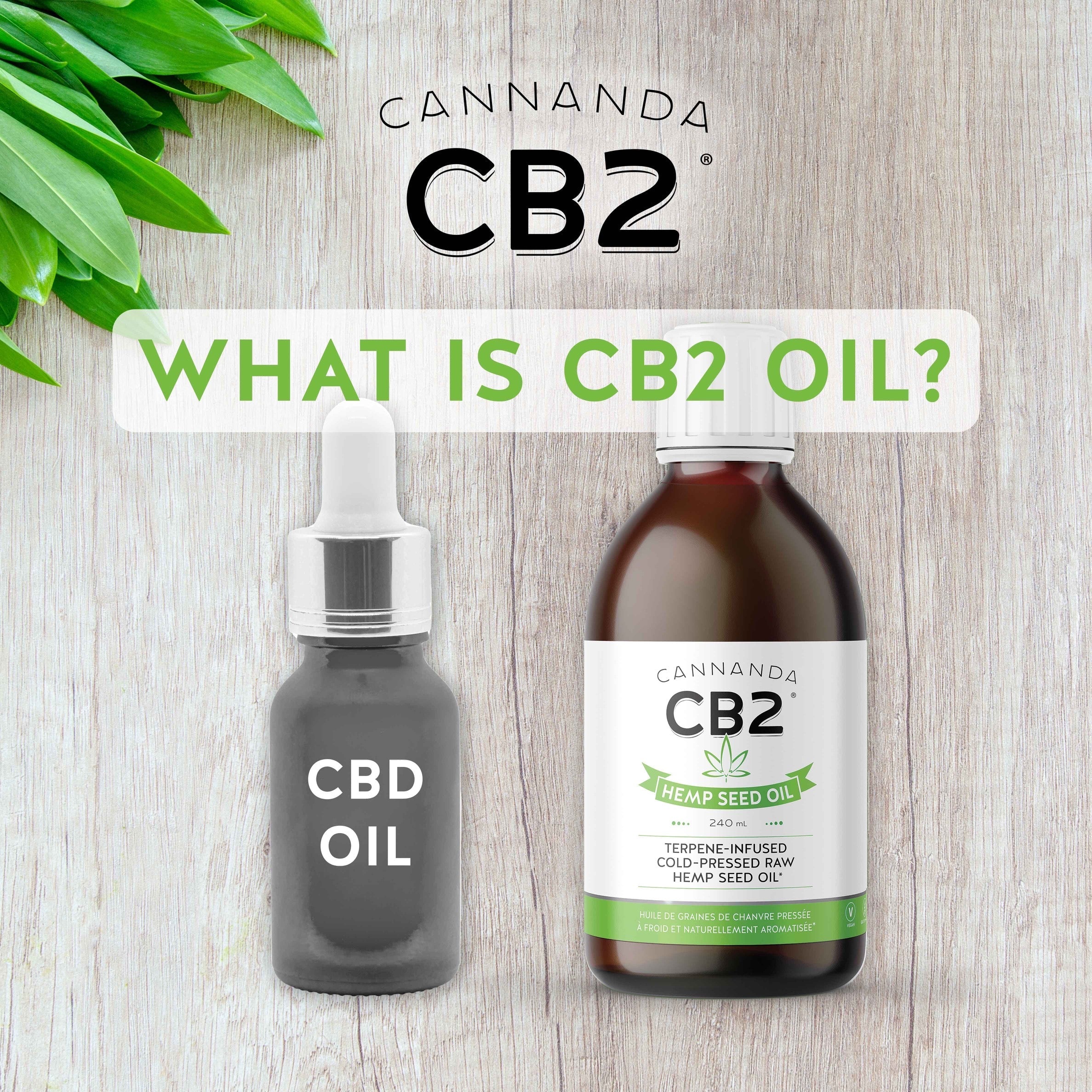 What is CB2 oil? Image of CB2 Oil with CBD Oil