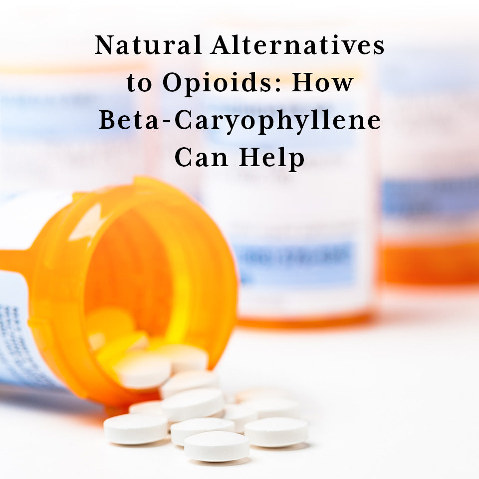 Natural alternatives to opioids - how Cannanda CB2 beta-caryophyllene can help