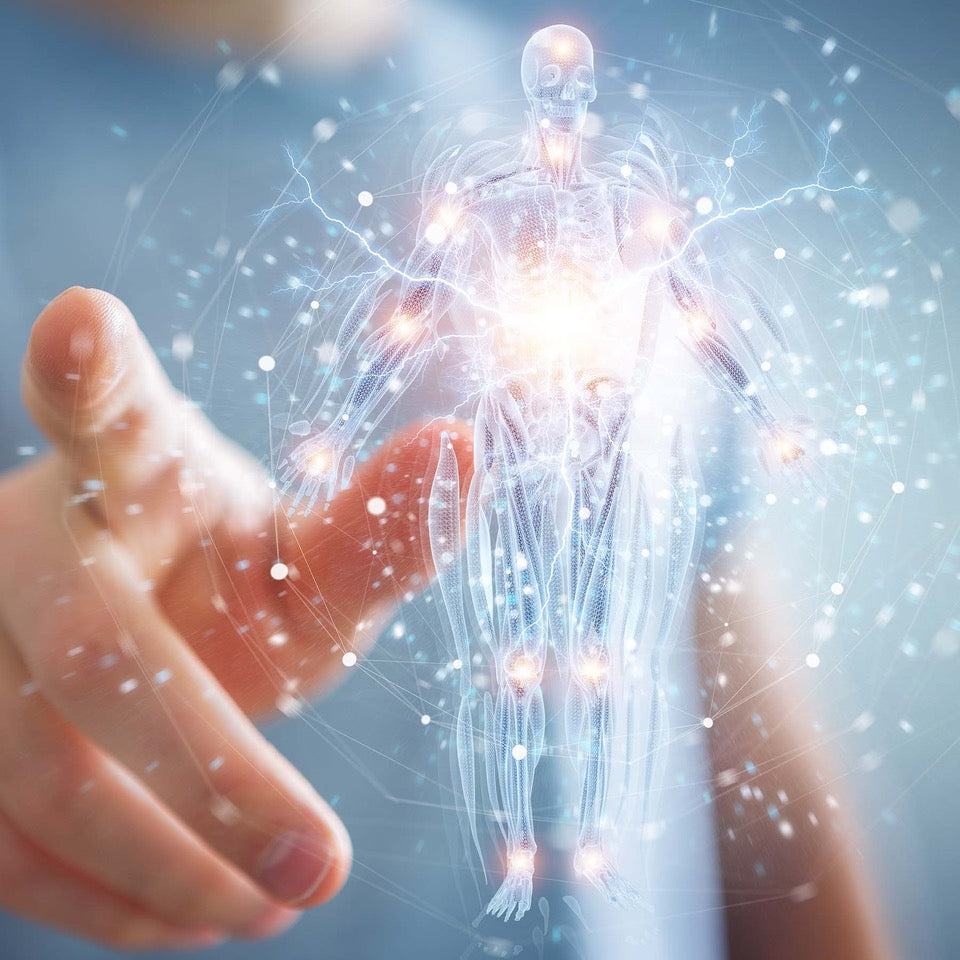 Studies Investigating the Benefits of CB2 Receptor Activation