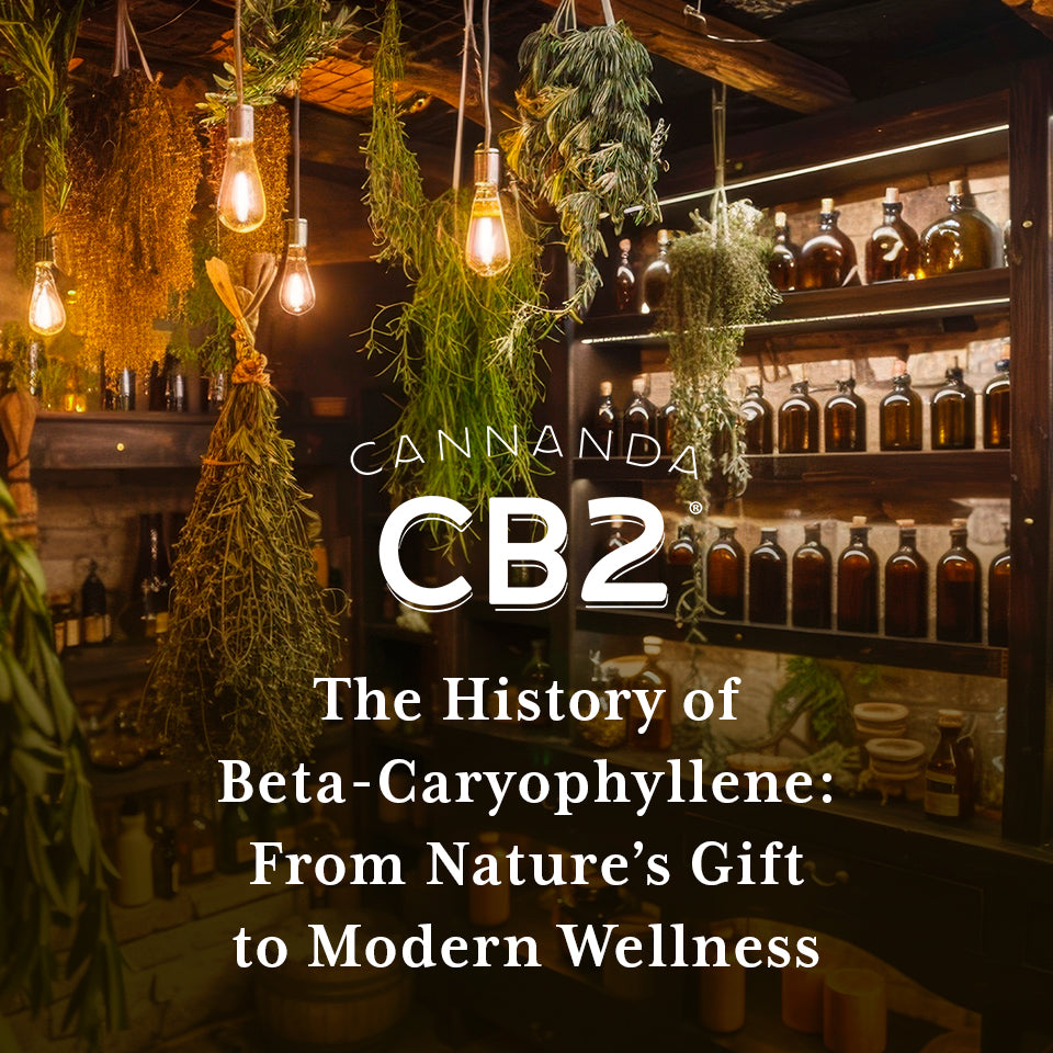The history of beta-caryophyllene (BCP)