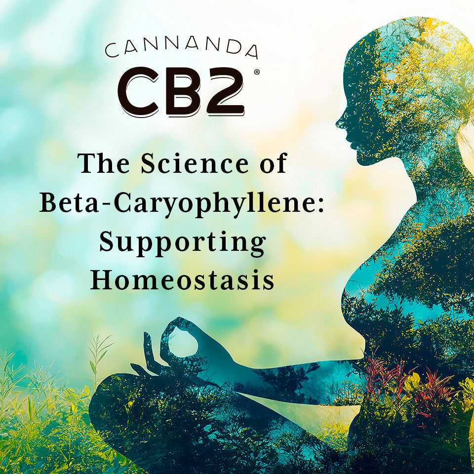the science of beta-caryophyllene