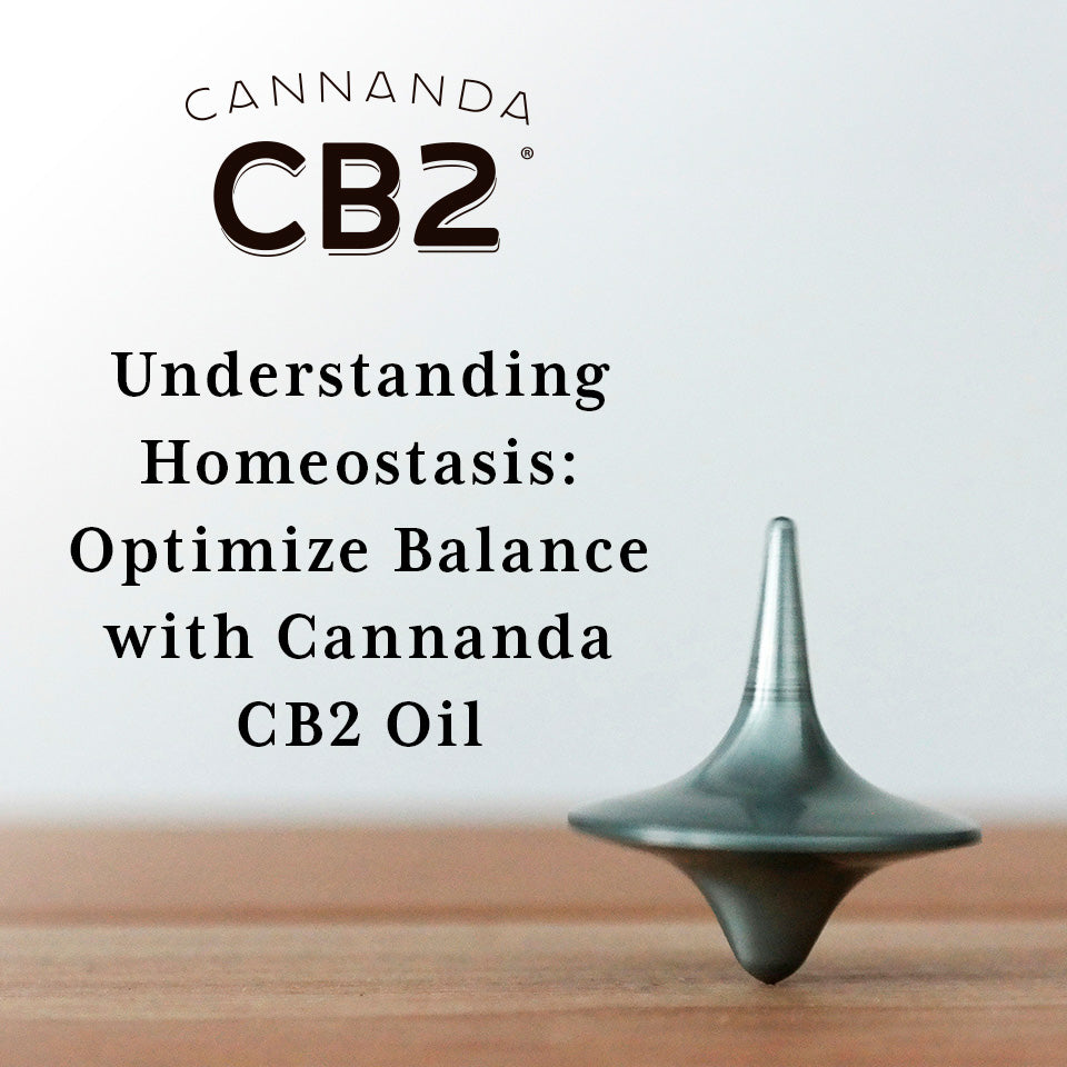 Understanding Homeostasis: Optimize Balance with Beta-Caryophyllene Supplements