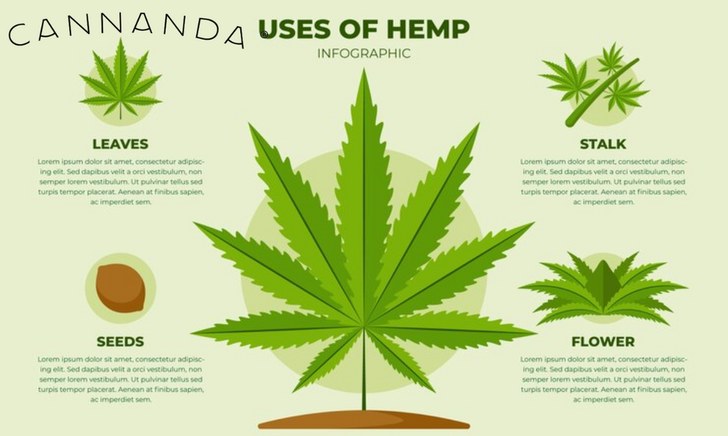 what is hemp