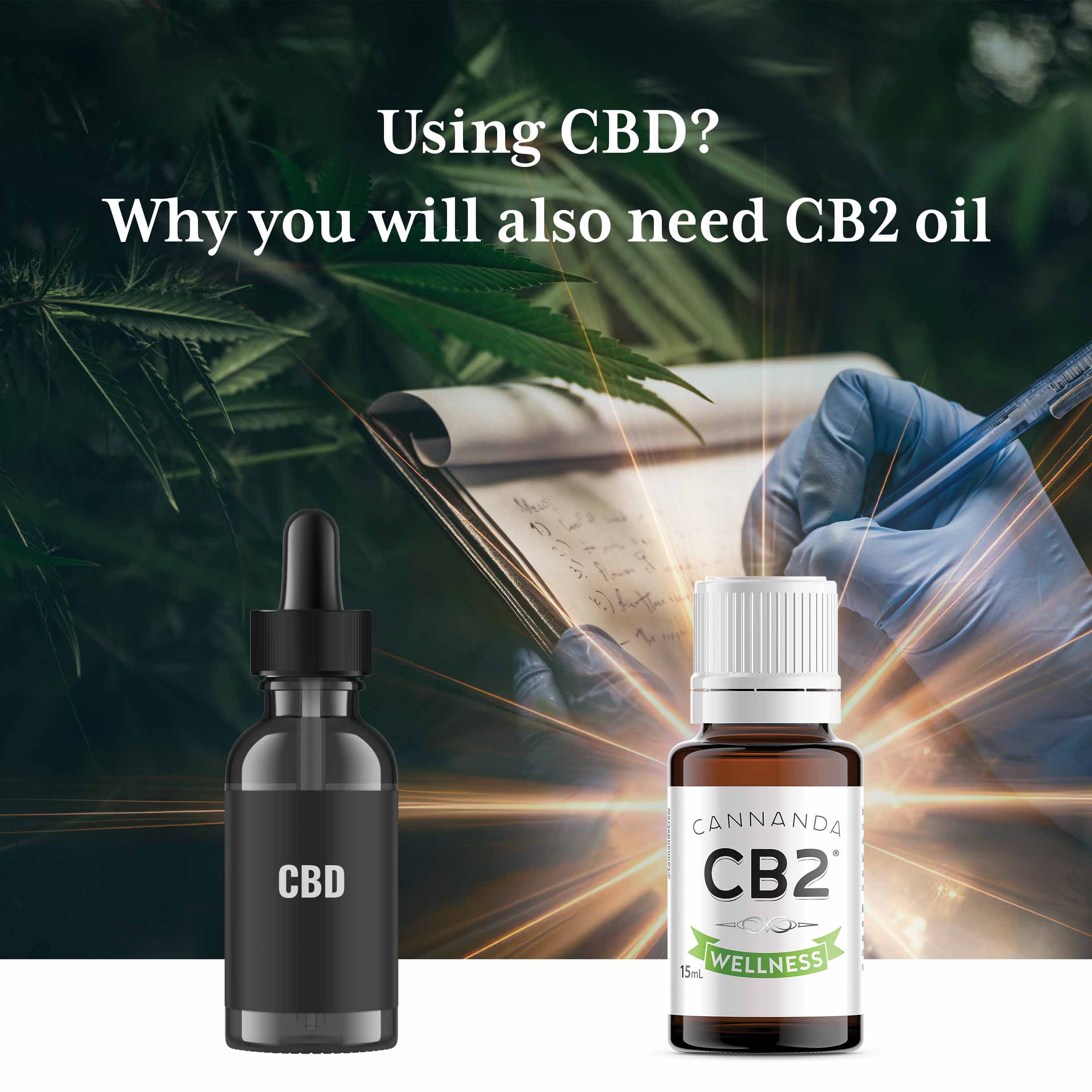 If you use CBD for pain or anxiety, learn why you must also use CB2 oil