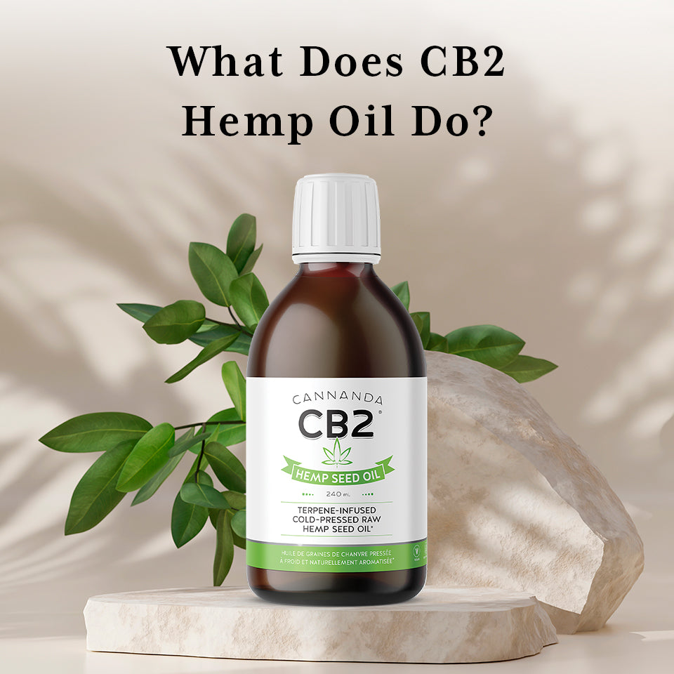 What does CB2 Hemp Oil Do?