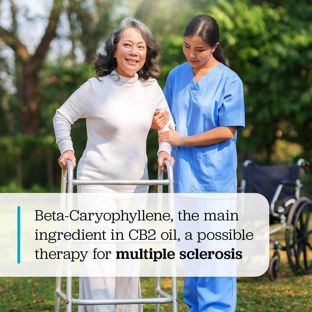 beta-caryophyllene for multiple sclerosis