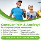 Conquer pain and anxiety! Beta-caryophyllene  is known to relieve chronic pain, reduce inflammation, ease anxiety, improve sleep, improve longevity, rejuvenate cognition, reduce brain inflammation. It's Nature's pain and anxiety reliever.