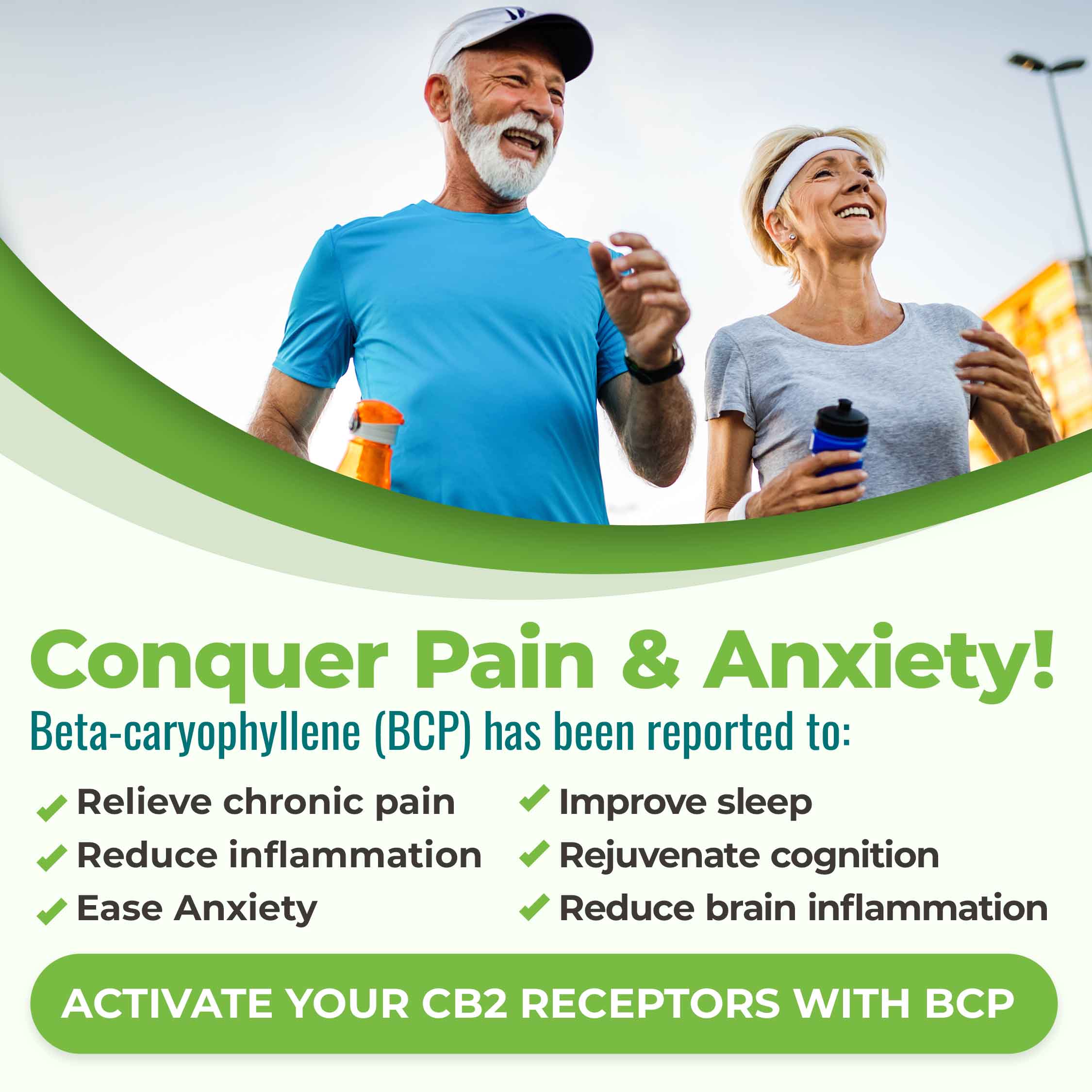 Conquer pain and anxiety! Beta-caryophyllene  is known to relieve chronic pain, reduce inflammation, ease anxiety, improve sleep, improve longevity, rejuvenate cognition, reduce brain inflammation. It's Nature's pain and anxiety reliever.