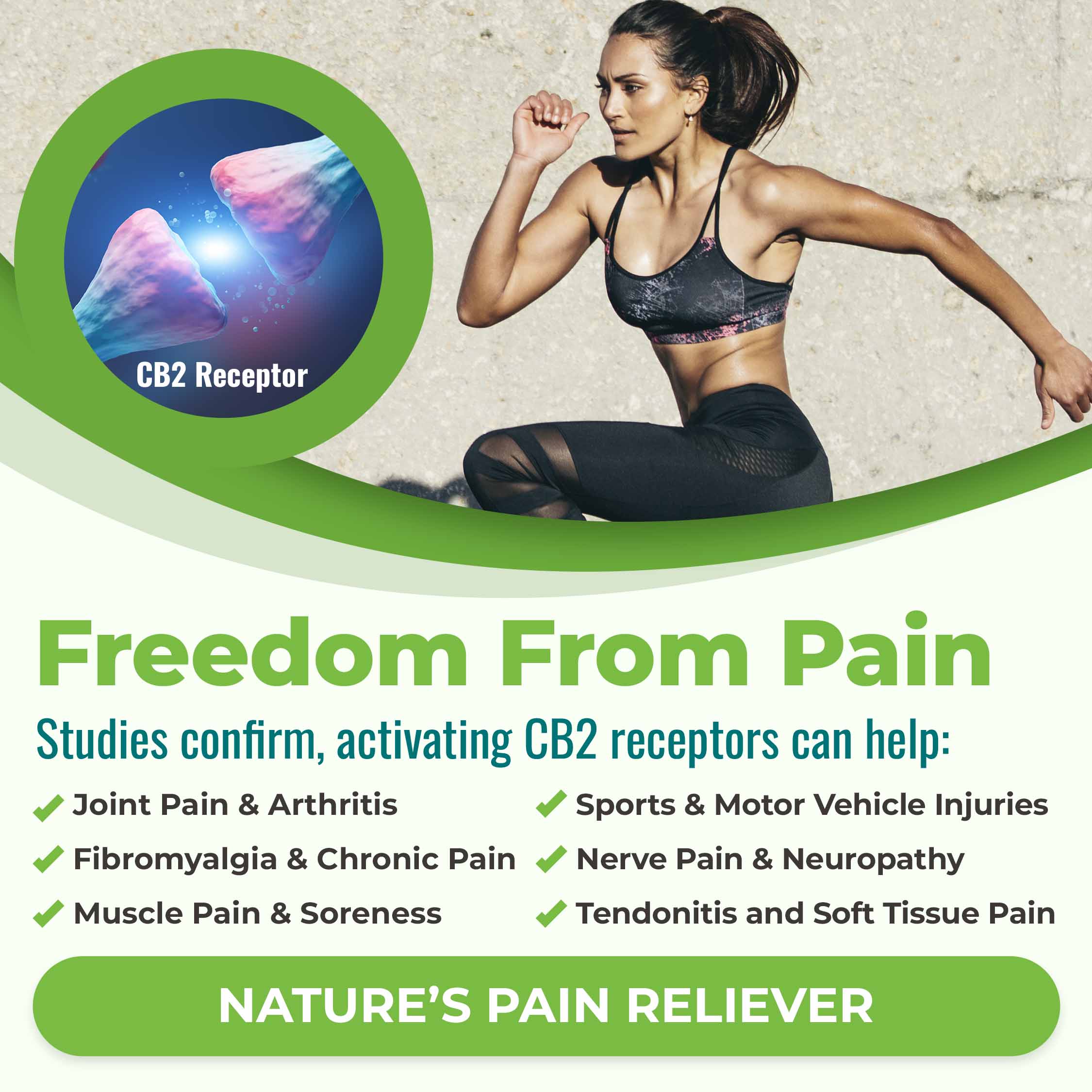 Freedom from pain. Studies confirm that activating CB2 receptors can help: joint pain & arthritis, fibromyalgia and chronic pain, muscle pain and soreness, sports and motor vehicle injuries, nerve pain and neuropathy, tendonitis and soft tissue pain. Nature's pain reliever!