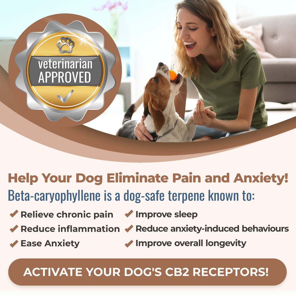 Help your dog eliminate pain and anxiety! Beta-caryophyllene is a dog-safe terpene known to relieve chronic pain, reduce inflammation, ease anxiety, improve sleep, improve longevity. It's Nature's pain and anxiety reliever.