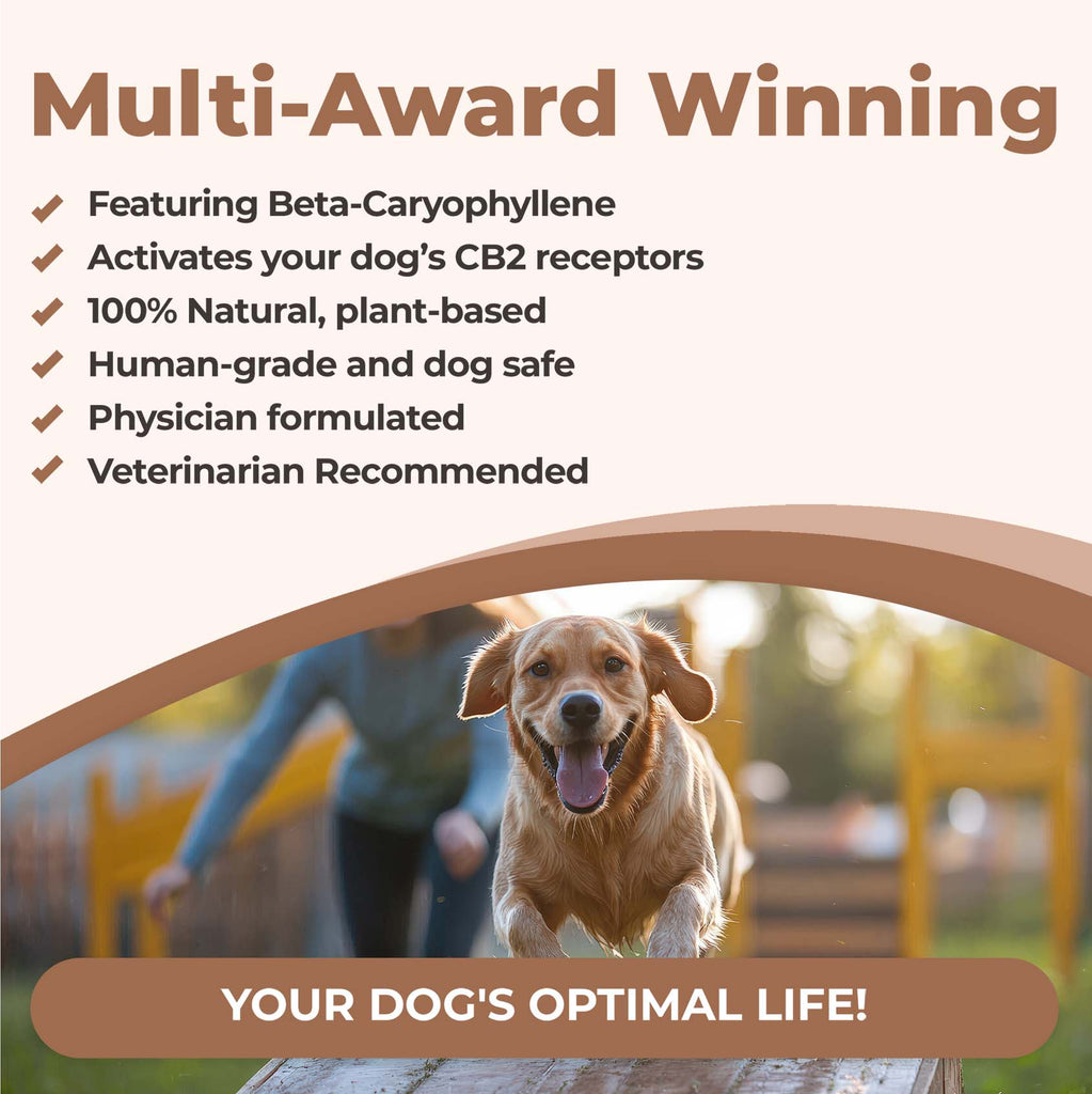 CB2 oil for dogs is multi-award-winning, featuring beta-caryophyllene in organic hemp seed oil, activates your dog's CB2 receptors, 100% natural plant-based, human-grade and dog-safe, physician-formulated. It's high in omega-3s