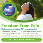 Freedom from pain. Studies confirm that activating CB2 receptors can help: joint pain & arthritis, fibromyalgia and chronic pain, muscle pain and soreness, sports and motor vehicle injuries, nerve pain and neuropathy, tendonitis and soft tissue pain. Nature's pain reliever!