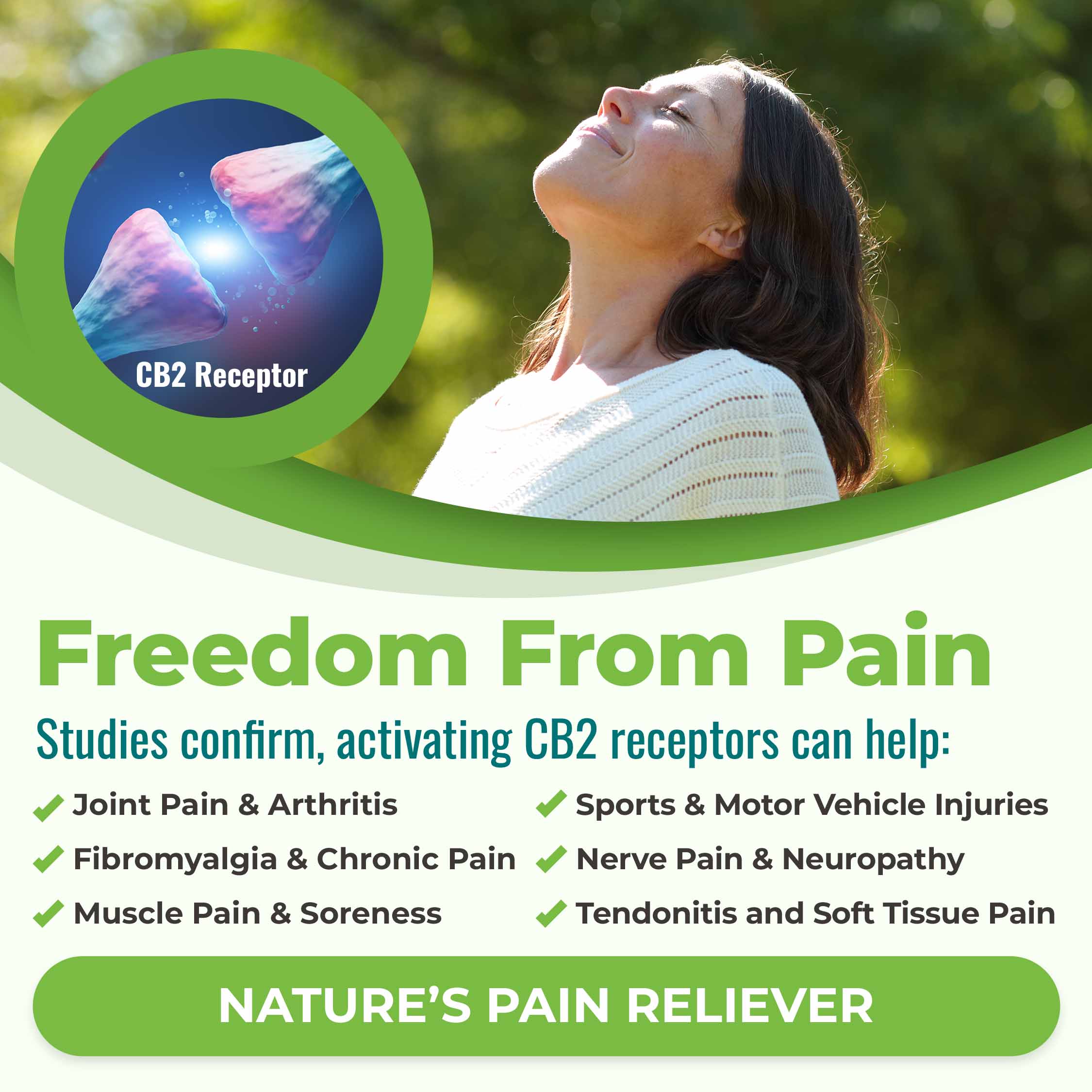 Freedom from pain. Studies confirm that activating CB2 receptors can help: joint pain & arthritis, fibromyalgia and chronic pain, muscle pain and soreness, sports and motor vehicle injuries, nerve pain and neuropathy, tendonitis and soft tissue pain. Nature's pain reliever!