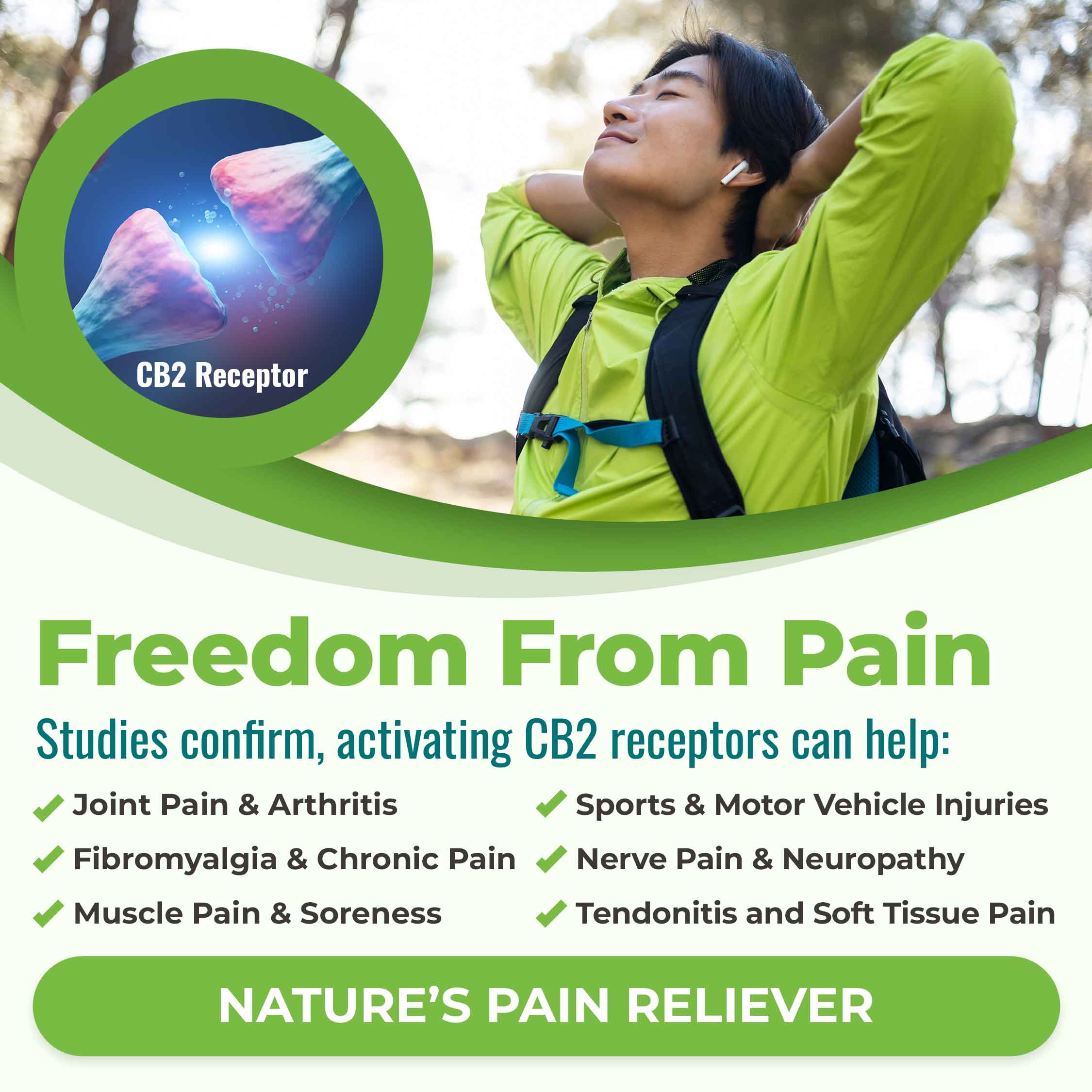 Freedom from pain. Studies confirm that activating CB2 receptors can help: joint pain & arthritis, fibromyalgia and chronic pain, muscle pain and soreness, sports and motor vehicle injuries, nerve pain and neuropathy, tendonitis and soft tissue pain. Nature's pain reliever!
