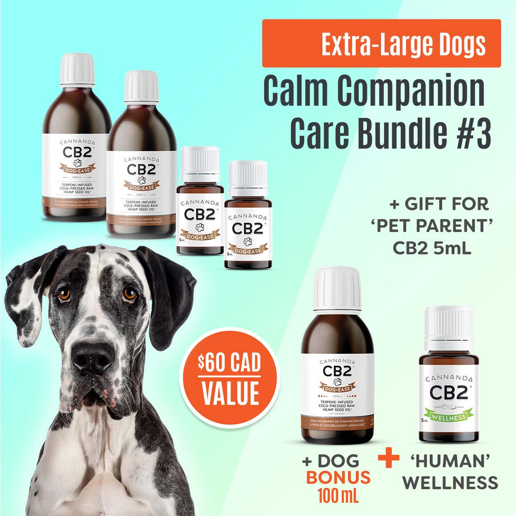 Dog Ease Calm Companion Care Bundle 3 Extra Large Dogs + DE HSO 100mL + CB2 Well 5mL