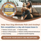 Help your dog eliminate pain and anxiety! Beta-caryophyllene is a dog-safe terpene known to relieve chronic pain, reduce inflammation, ease anxiety, improve sleep, improve longevity. It's Nature's pain and anxiety reliever.