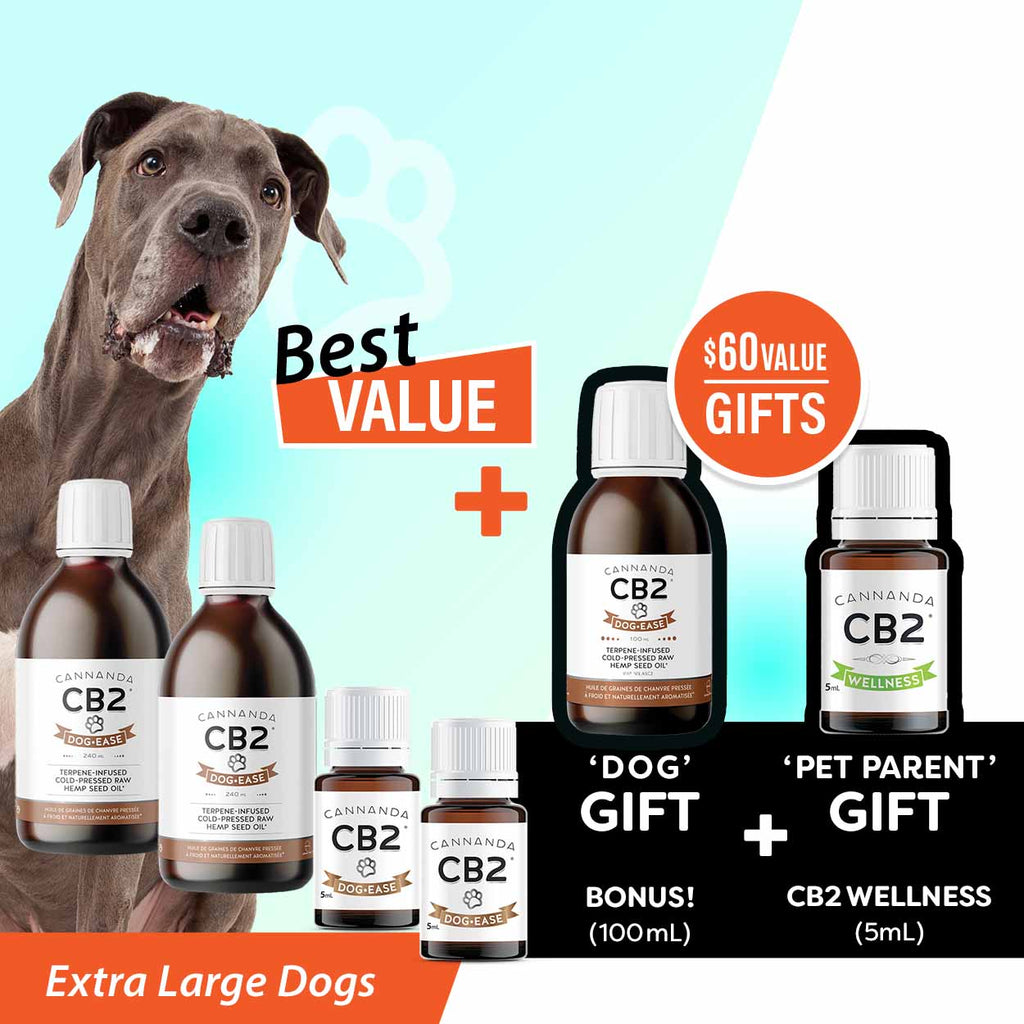 Dog Ease Calm Companion Care Bundle 3 Extra Large Dogs + DE HSO 100mL + CB2 Wellness 5mL