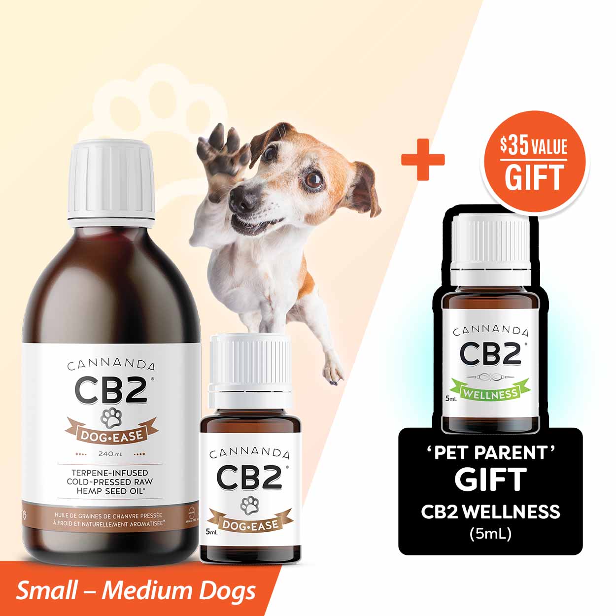 Dog Ease Calm Companion Care Bundle 1 Small - Medium Dogs + CB2 Wellness 5mL