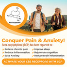 Conquer pain and anxiety! Beta-caryophyllene  is known to relieve chronic pain, reduce inflammation, ease anxiety, improve sleep, improve longevity, rejuvenate cognition, reduce brain inflammation. It's Nature's pain and anxiety reliever.