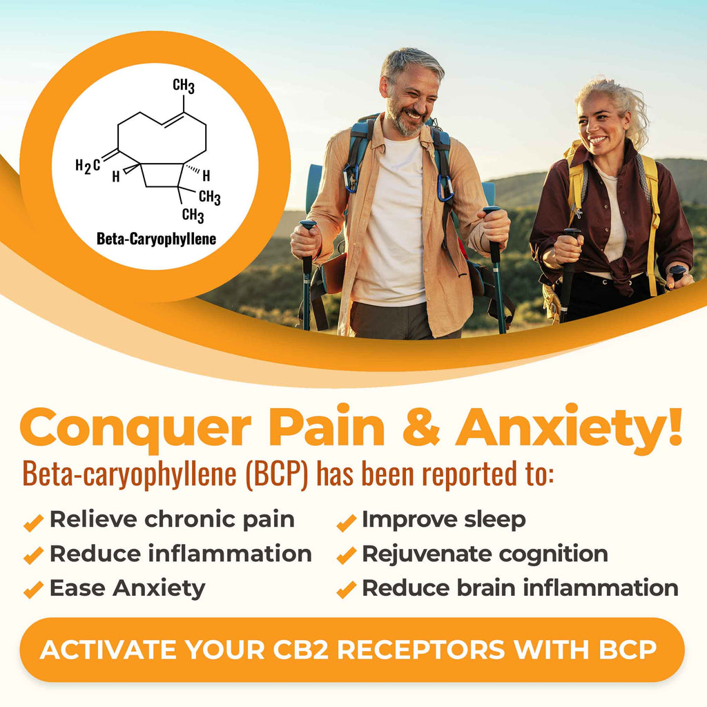 Conquer pain and anxiety! Beta-caryophyllene  is known to relieve chronic pain, reduce inflammation, ease anxiety, improve sleep, improve longevity, rejuvenate cognition, reduce brain inflammation. It's Nature's pain and anxiety reliever.