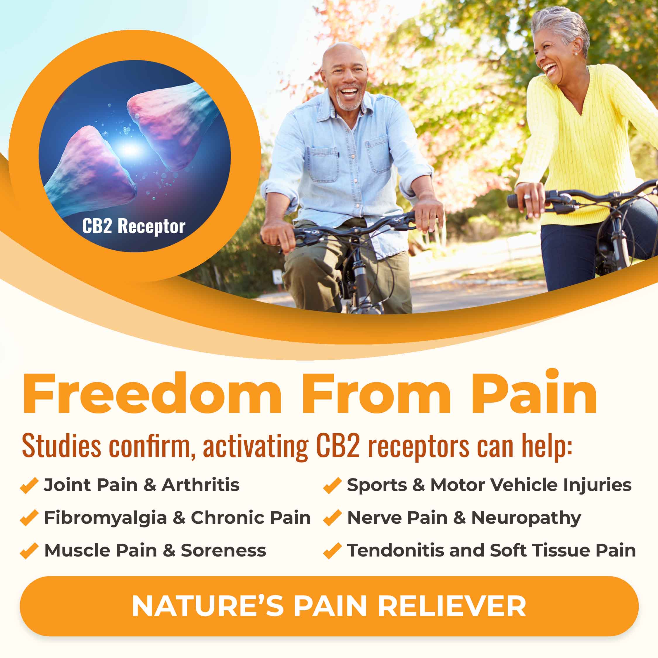 Freedom from pain. Studies confirm that activating CB2 receptors can help: joint pain & arthritis, fibromyalgia and chronic pain, muscle pain and soreness, sports and motor vehicle injuries, nerve pain and neuropathy, tendonitis and soft tissue pain. Nature's pain reliever!