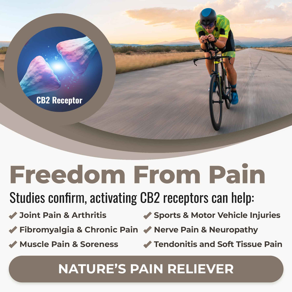 Freedom from pain. Studies confirm that activating CB2 receptors can help: joint pain & arthritis, fibromyalgia and chronic pain, muscle pain and soreness, sports and motor vehicle injuries, nerve pain and neuropathy, tendonitis and soft tissue pain. Nature's pain reliever!