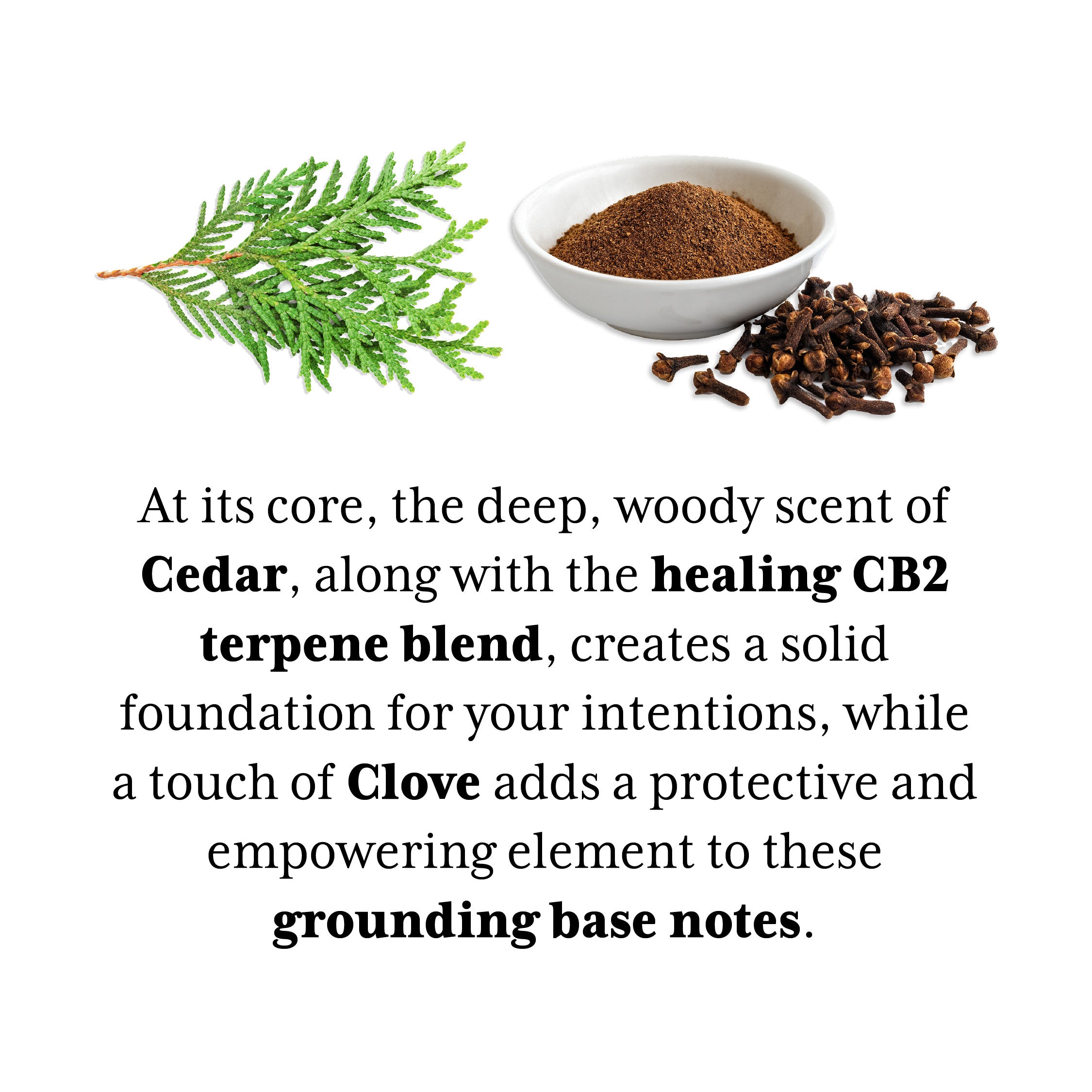 Cedar essential oil with CB2 oil terpene blend